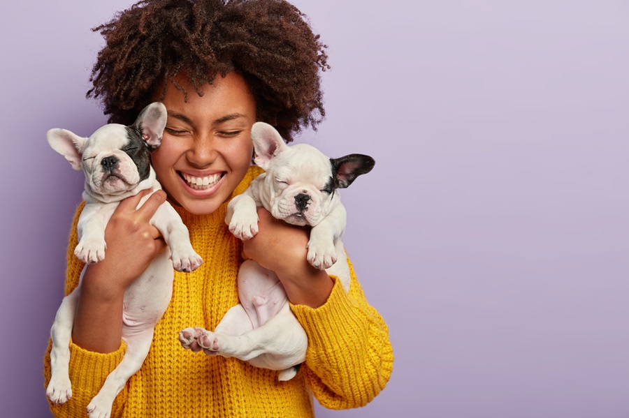 Close up shot of joyful Afro American woman carries black and white small puppies who make her fun, being good companions with sense of humour, live indoors as members of family, sleep together